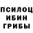 Галлюциногенные грибы Psilocybine cubensis _Mrs kett_