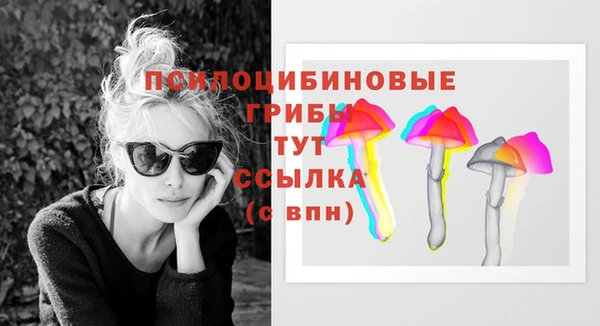 ECSTASY Балахна