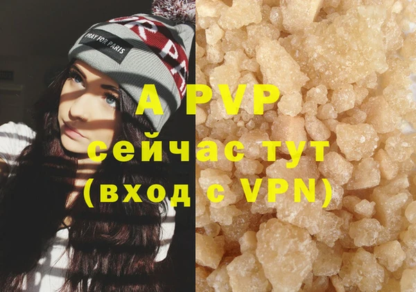 ECSTASY Балахна